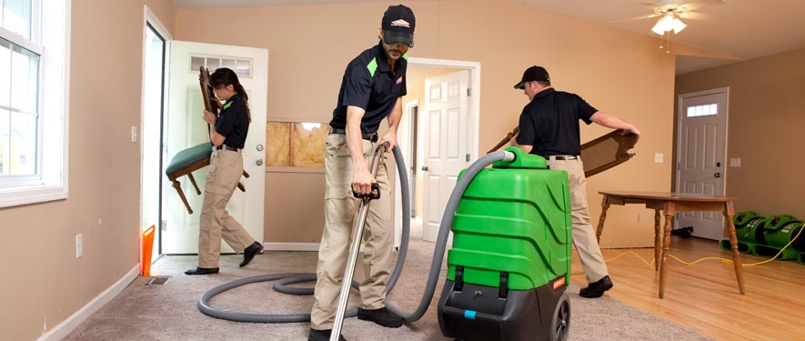 Bellevue, WA cleaning services