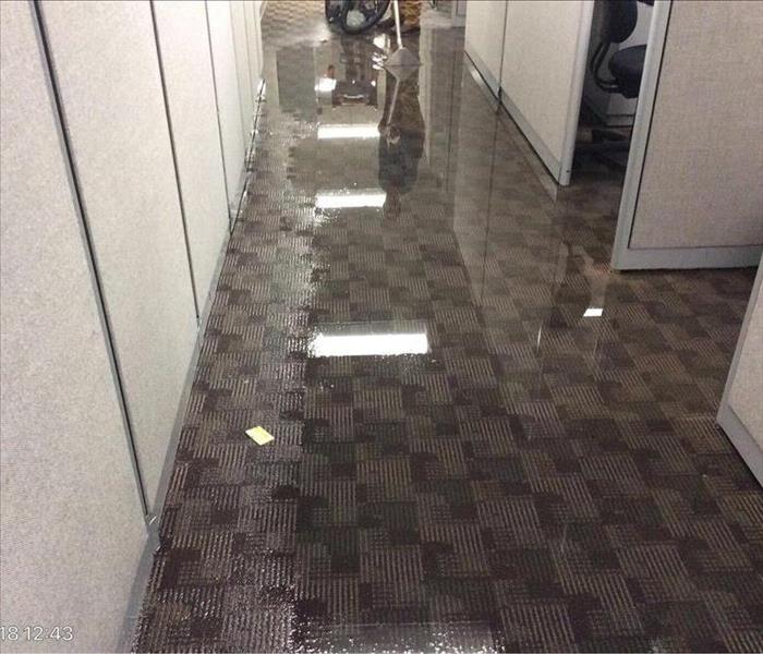 water standing on carpet by cubicles in an office
